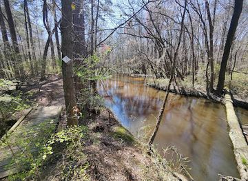 south-carolina/congaree-national-park/attraction/congaree-creek-heritage-preserve