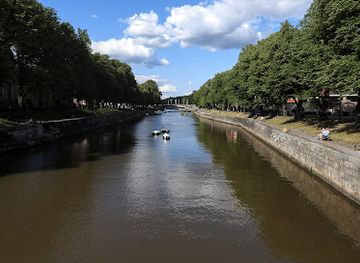 finland/turku-archipelago/attraction/eiders