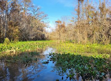 louisiana/bayou-country/attraction/cajun-encounters-tours
