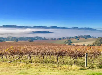 God's Hill Wines