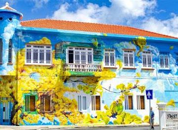 curacao/groot-santa-martha/attraction/street-art-skalo