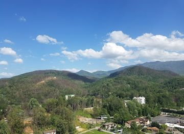 tennessee/gatlinburg/attraction/hollywood-star-cars-museum