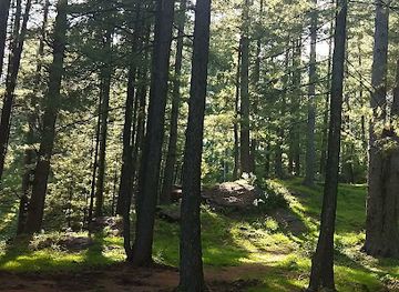 pakistan/murree/attraction/murree-zipline-camping-facility