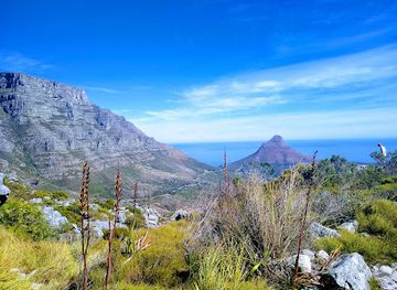 south-africa/table-mountain-national-park/attraction/saddle-rock