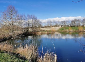 france/pays-de-la-loire/attraction/chateau-a-motte-de-verrieres-en-anjou