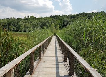 romania/giurgiu/attraction/observator-ornitologic-comana