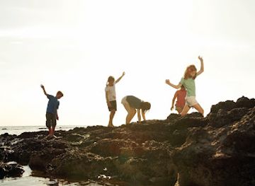 australia/eastern-victoria/attraction/ricketts-point-marine-sanctuary