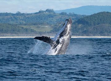 australia/northern-rivers/attraction/out-of-the-blue-adventures