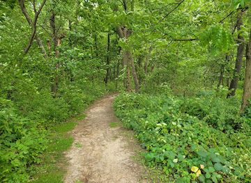 wisconsin/ice-age-trail/attraction/ice-age-trail-junction-area