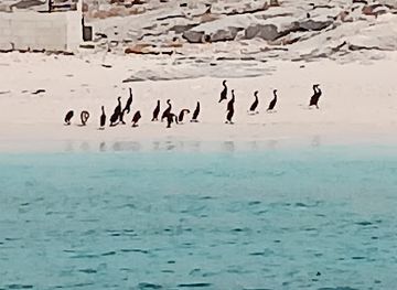 oman/musandam-peninsula/attraction/beach-accessable-from-the-sea