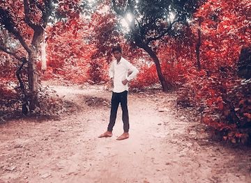 india/bihar/attraction/ariaon