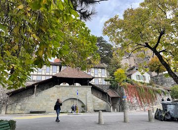 switzerland/vaud/attraction/fontaine-pierre-viret