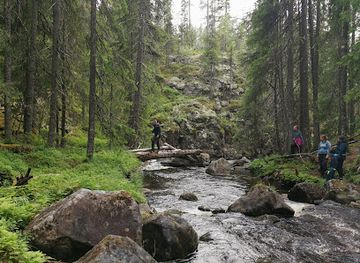 sweden/dalarna/attraction/sarna-adventures