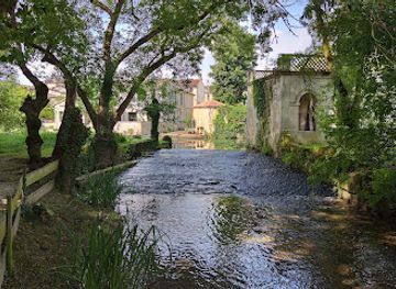 france/poitou-charentes/attraction/abbaye-saint-etienne-of-bassac
