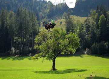 austria/pinzgau/attraction/alter-kirschbaum