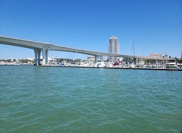 florida/clearwater/attraction/calypso-queen