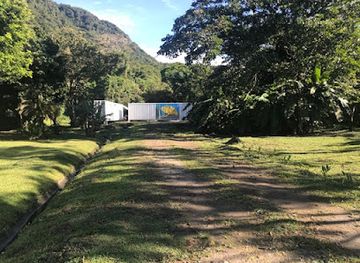 panama/el-valle-de-anton/attraction/el-valle-amphibian-conservation-center-foundation-evacc