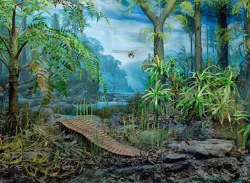 illinois/southern-illinois/attraction/illinois-state-museum