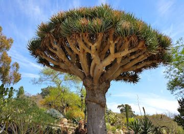 california/colorado-desert/attraction/san-diego-botanic-garden