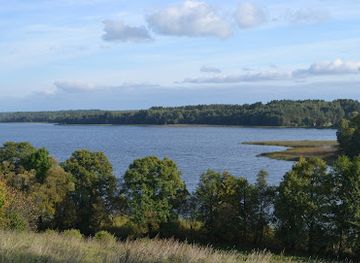lithuania/aukstaitija-national-park/attraction/puziniskis-oak