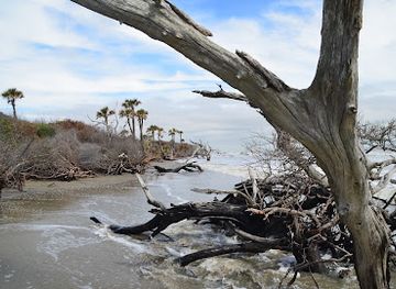 south-carolina/francis-marion-national-forest/attraction/boneyard-beach-bulls-island