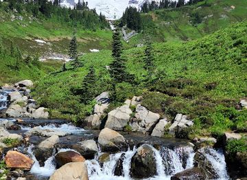 Mount Rainier National Park