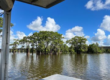 louisiana/bayou-country/attraction/mcgee-s-louisiana-swamp-airboat-tours