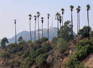 Hollywood Peak