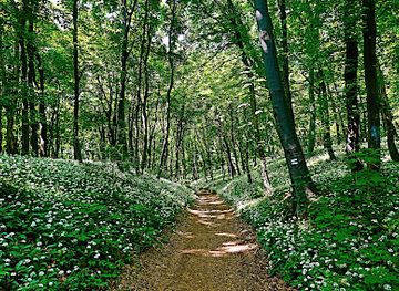 hungary/mecsek/attraction/jakabhegyi-foldvar