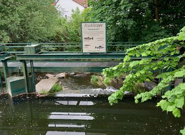 germany/thuringian-forest/attraction/fischtreppe-am-tannenwehr