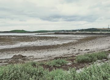 ireland/croagh-patrick/attraction/roman-island-woods