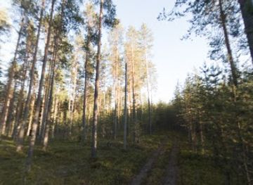 finland/halti/attraction/taitajan-taival-hiking-trail