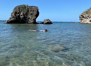 saint-kitts-and-nevis/nevis-peak/attraction/snorkeling-spot