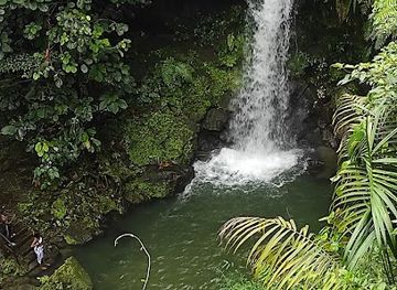 dominica/la-plaine/attraction/coco-cascades