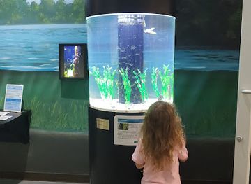 florida/treasure-coast/attraction/st-lucie-county-aquarium