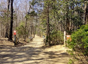 mississippi/the-north-central-hills/attraction/rowan-oak