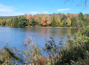 pennsylvania/central-pennsylvania/attraction/hills-creek-state-park