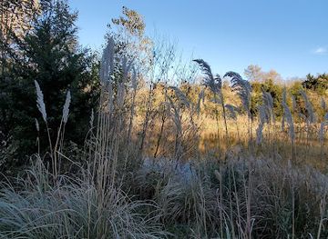 kansas/smoky-hills/attraction/indian-rock-park-salina-kansas