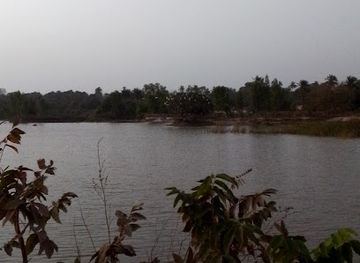 the-gambia/kiang-west-national-park/attraction/oasis-and-trails