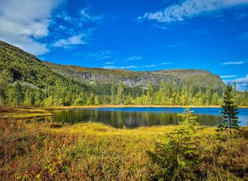 norway/buskerud/attraction/madonnaskulpturen