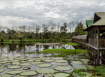 colombia/leticia/attraction/reserva-victoria-regia