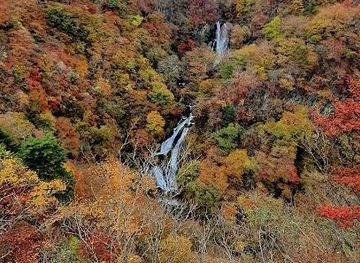 japan/nikko/attraction/kirifuri-plateau
