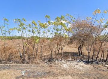 indonesia/pulau-moyo/attraction/limung-tano-bara