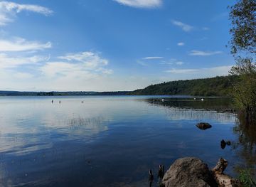 ireland/county-longford/attraction/derrycassin-woods-walk-and-playground