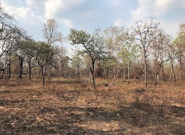cambodia/preah-vihear-province/attraction/ibis-nest