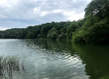 ukraine/kyiv/holosiivskyi-district/attraction/crocodile-wooden-sculpture