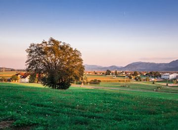 slovenia/savinja/attraction/senek-mansion