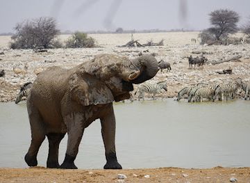angola/benguela-plateau/attraction/etosha-national-park