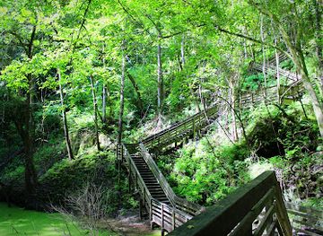 florida/gainesville/attraction/devil-s-millhopper-geological-state-park