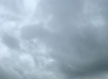 netherlands/ijsselmeer-polders/attraction/trintelzand